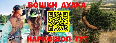 apvp Можга