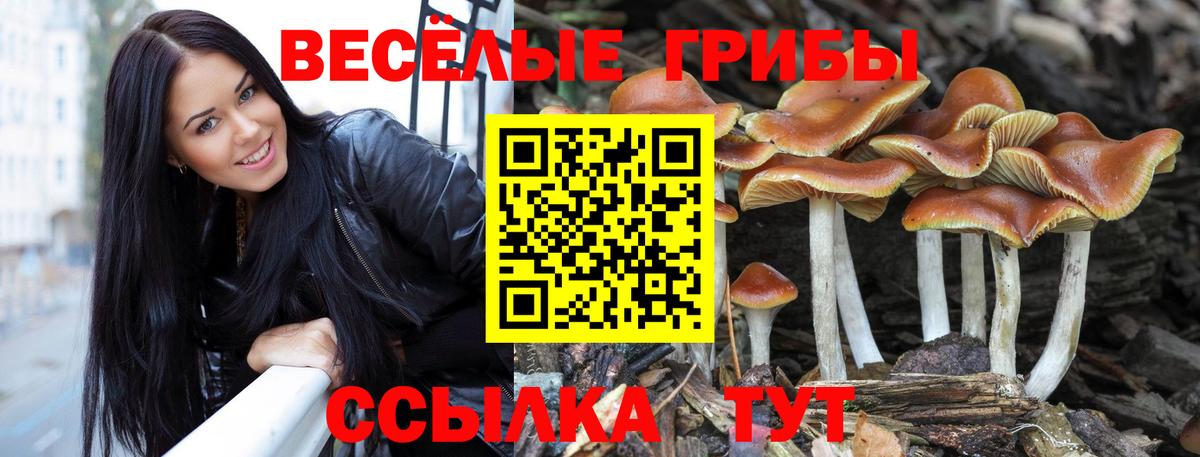 Псилоцибиновые грибы ЛСД Рыбинск